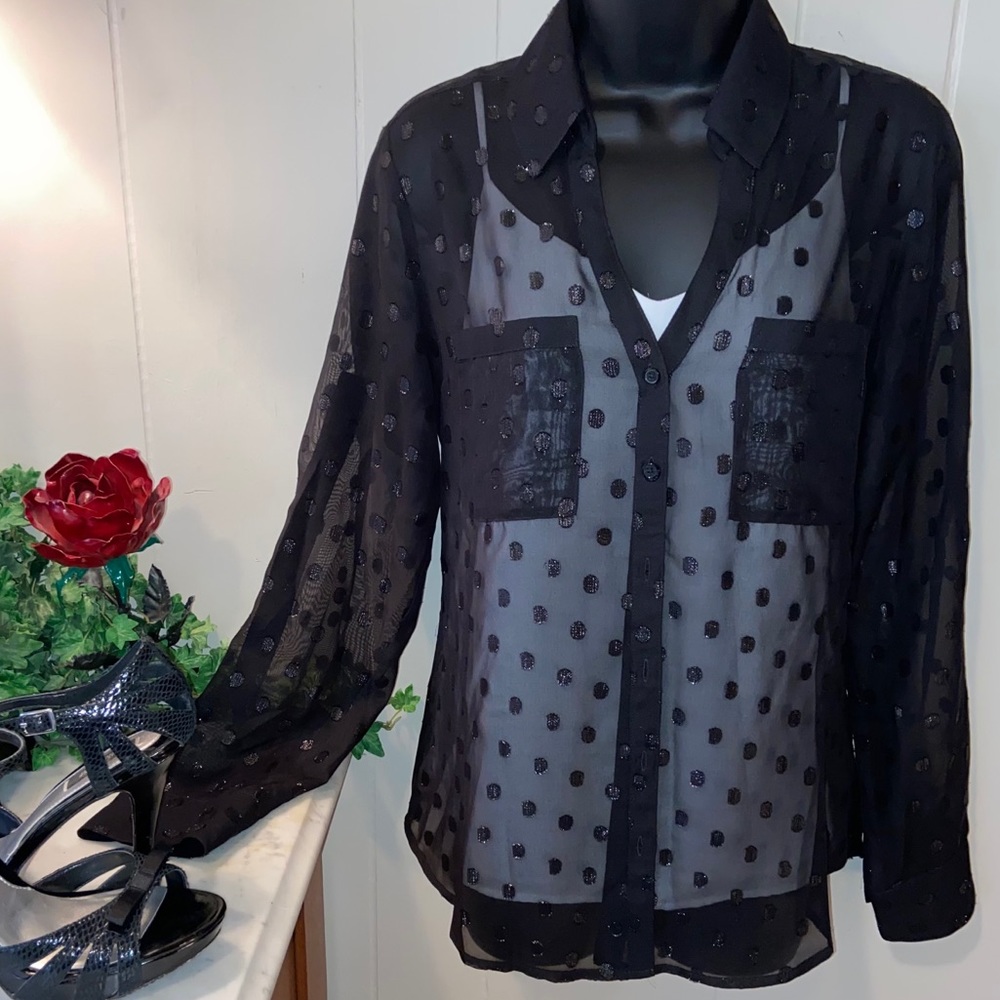 Sheer Polka-Dot Blouse Express